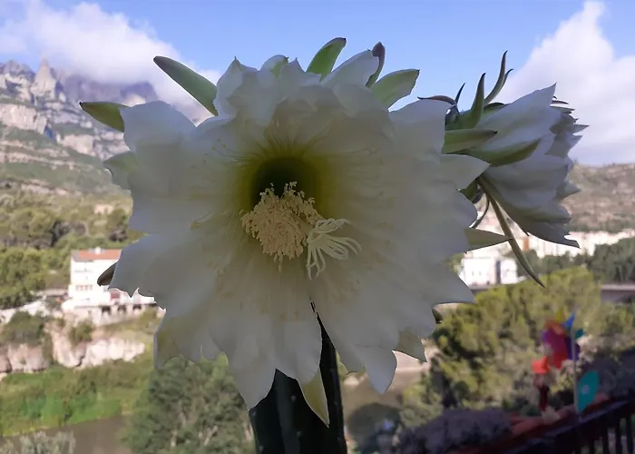 Piso Con Desayuno Incluido Y Vistas A La Montana.
